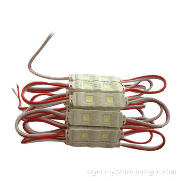 Super brightness injection 5050 module light, 12V waterproof 2 LED/piece